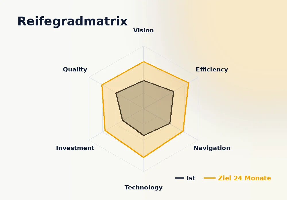 Reifegradmatrix der VENTIQA Business Engineering Analyse mit sechs Bewertungsfeldern